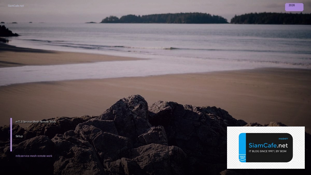 mTLS Service Mesh Remote Work Setup | SiamCafe Blog