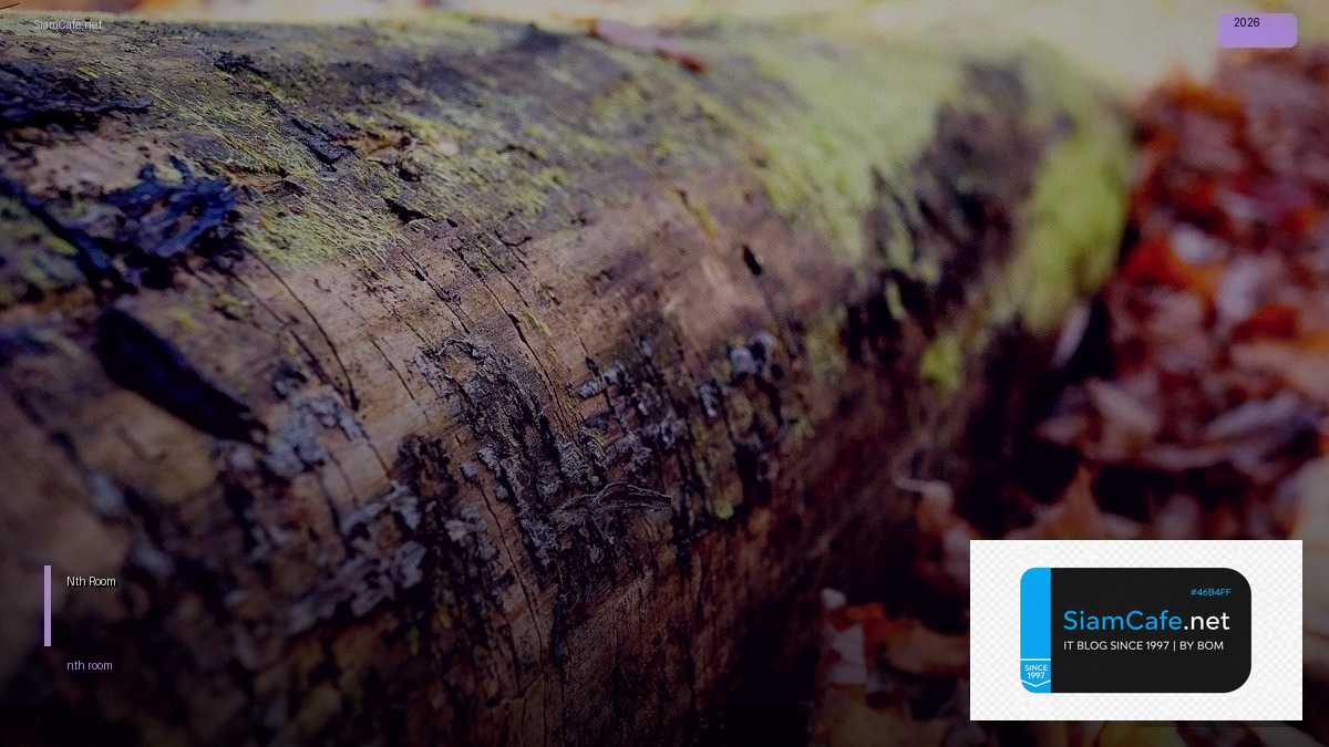 Nth Room | SiamCafe Blog