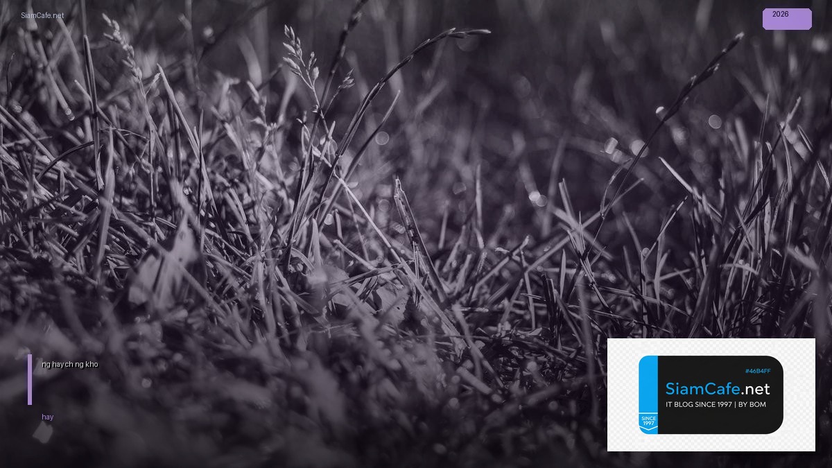 nên đầu tư vàng hay chứng khoán | SiamCafe Blog