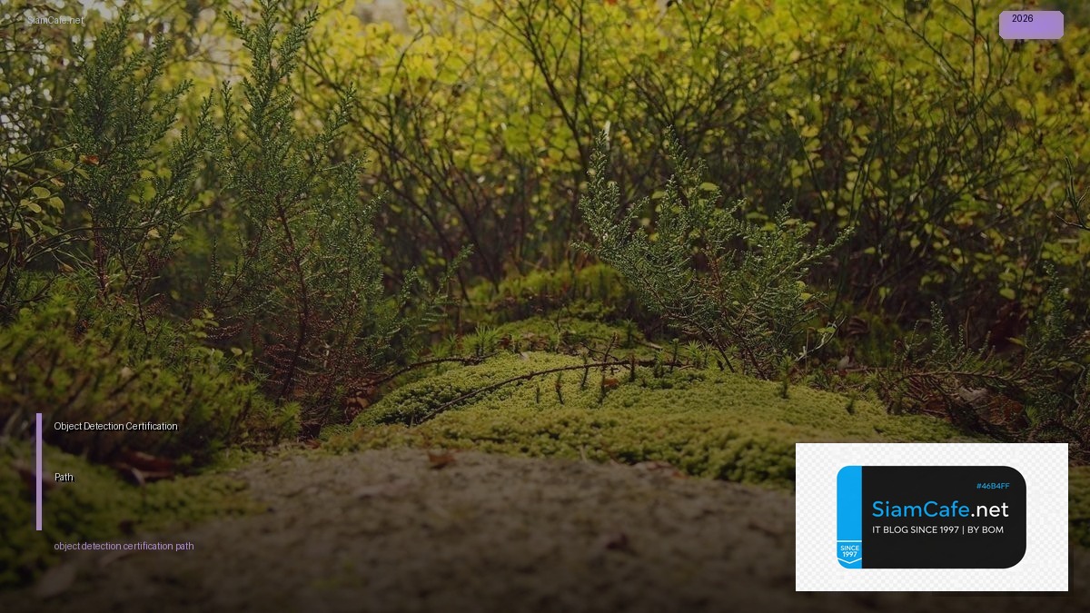 Object Detection Certification Path — คู่มือฉบับสมบูรณ์ 2026 | SiamCafe Blog