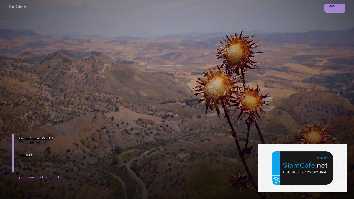 OpenID Connect SSL TLS Certificate — วิธีตั้งค่าและใช้งานจริงพร้อมตัวอย่าง