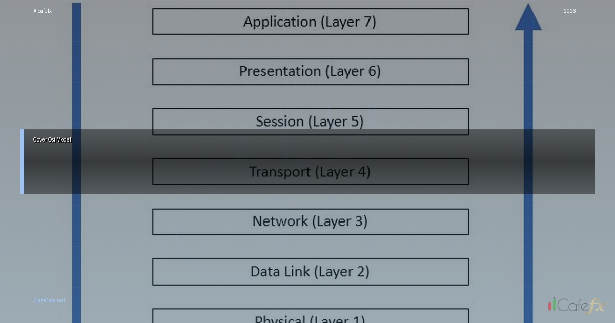 OSI Model ส่วนประกอบ — 7 Layers ของ OSI Model อธิบายครบทุกชั้น | SiamCafe Blog