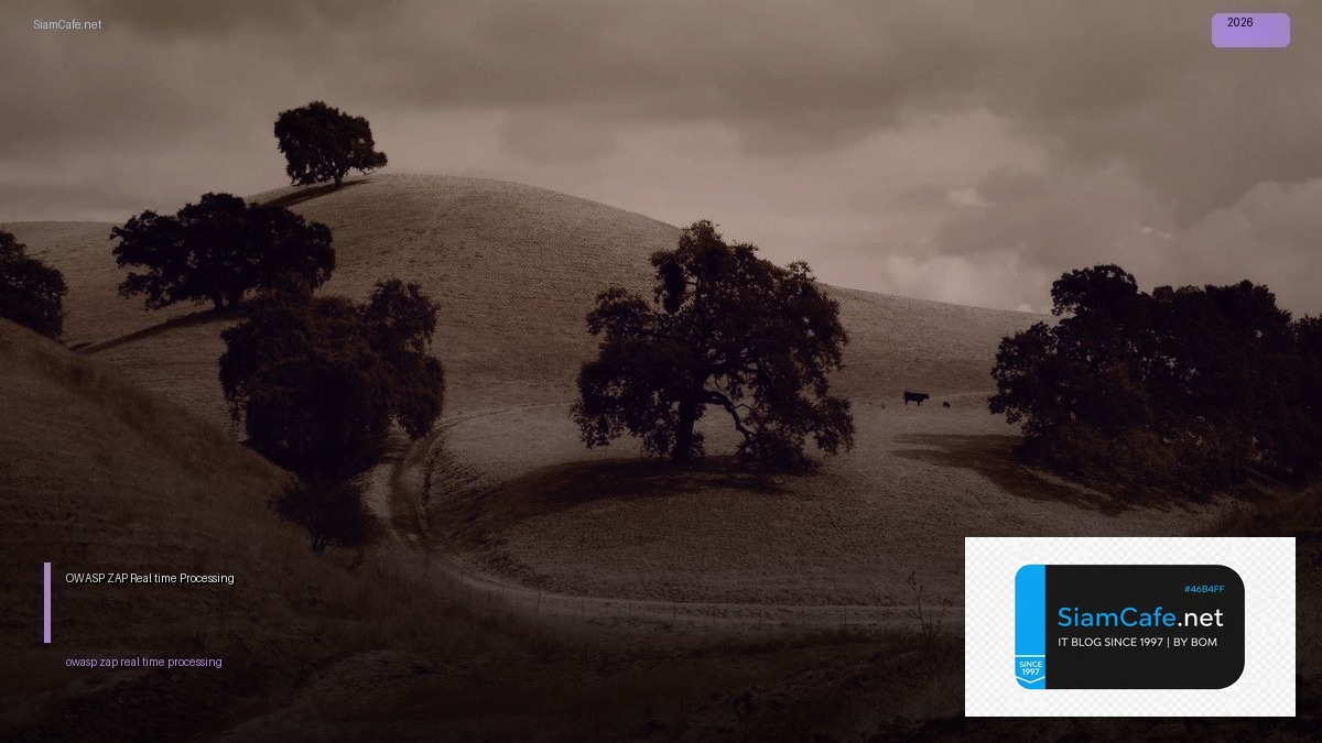 OWASP ZAP Real-time Processing — คู่มือฉบับสมบูรณ์ 2026 | SiamCafe Blog