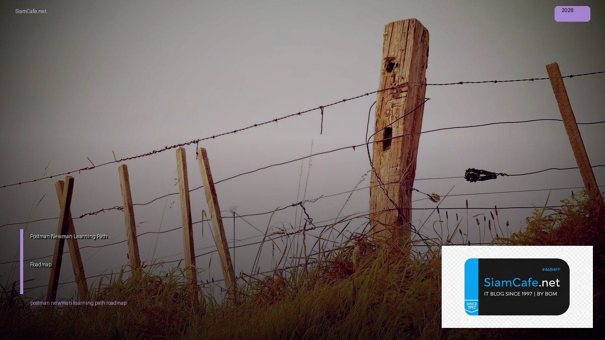 Postman Newman Learning Path Roadmap — คู่มือฉบับสมบูรณ์ 2026 | SiamCafe Blog