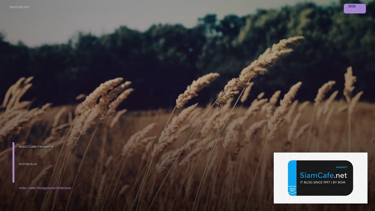 Redis Cluster Hexagonal Architecture — คู่มือฉบับสมบูรณ์ 2026 | SiamCafe Blog