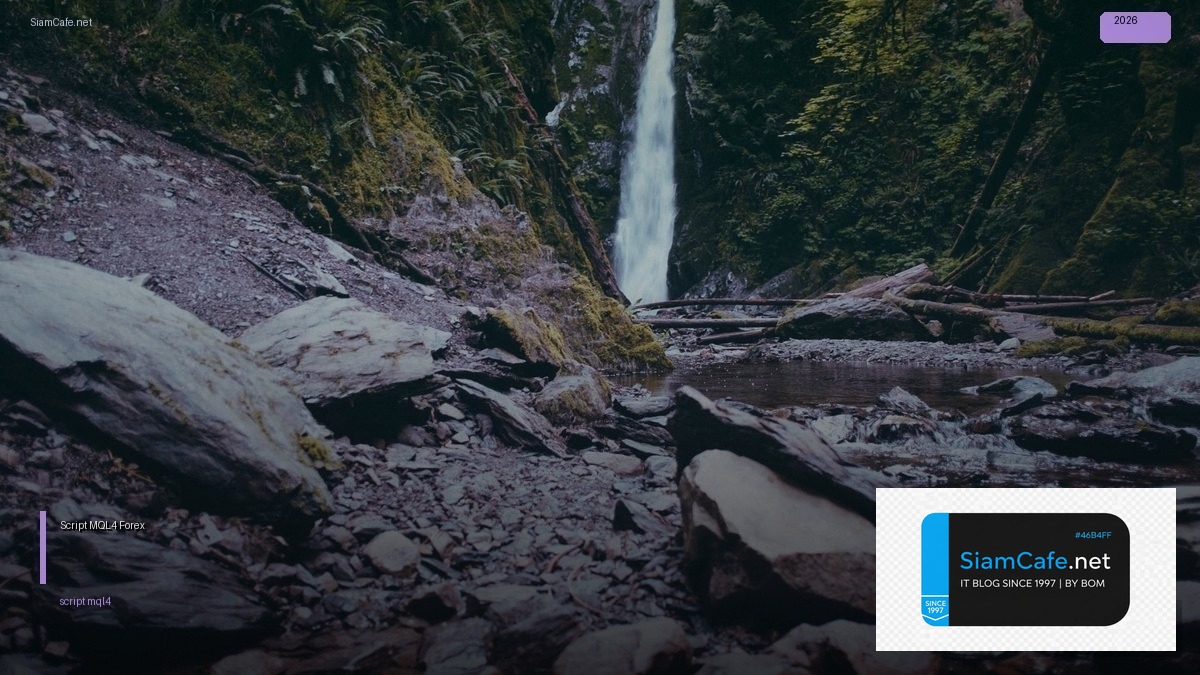 Script MQL4 — คู่มือเทรด Forex ฉบับสมบูรณ์ 2026 | SiamCafe Blog