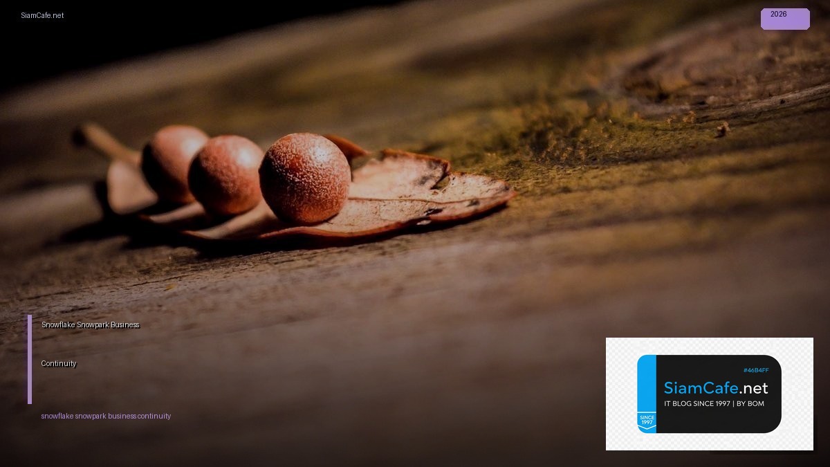 Snowflake Snowpark Business Continuity — คู่มือฉบับสมบูรณ์ 2026 | SiamCafe Blog