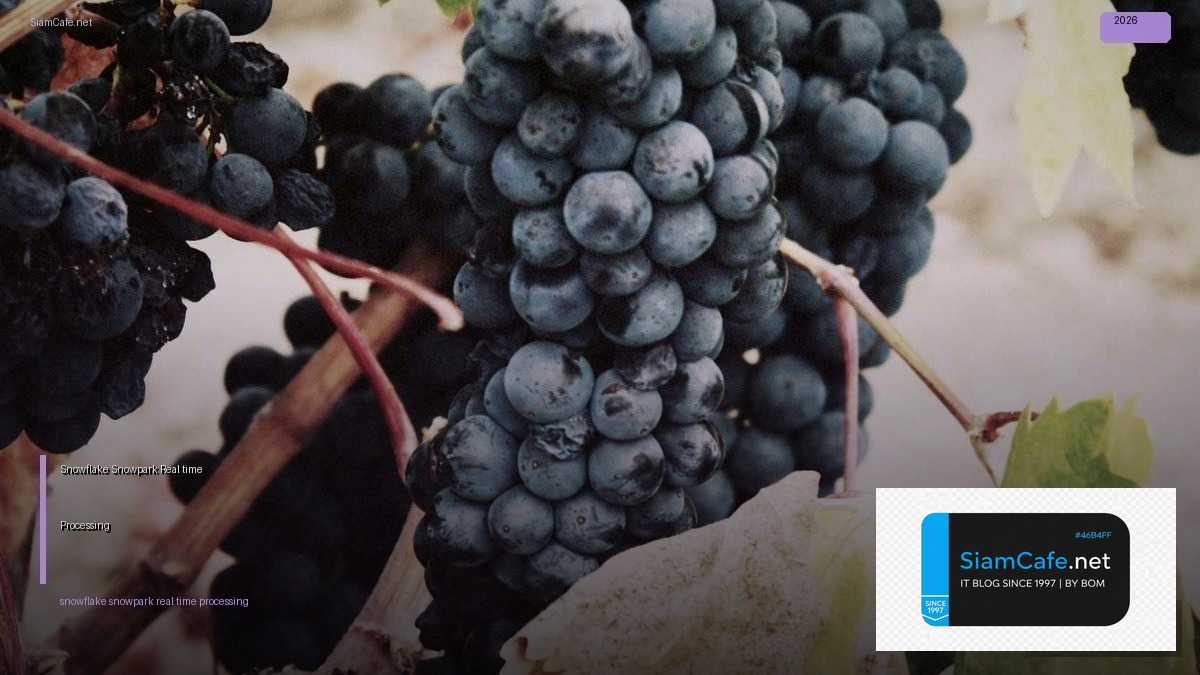 Snowflake Snowpark Real-time Processing — คู่มือฉบับสมบูรณ์ 2026 | SiamCafe Blog