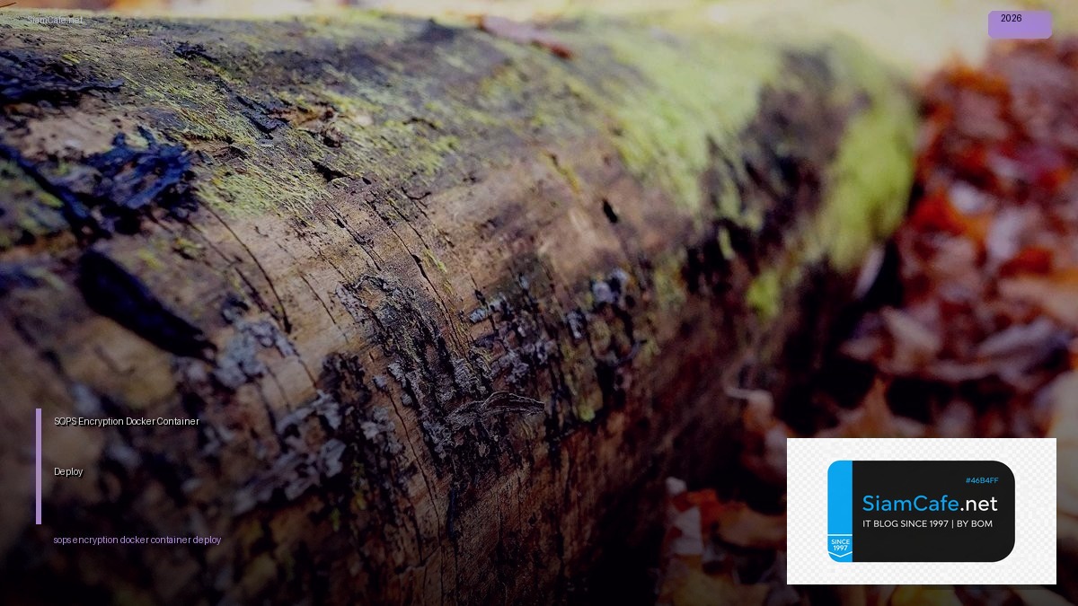 SOPS Encryption Docker Container Deploy — คู่มือฉบับสมบูรณ์ 2026 | SiamCafe Blog