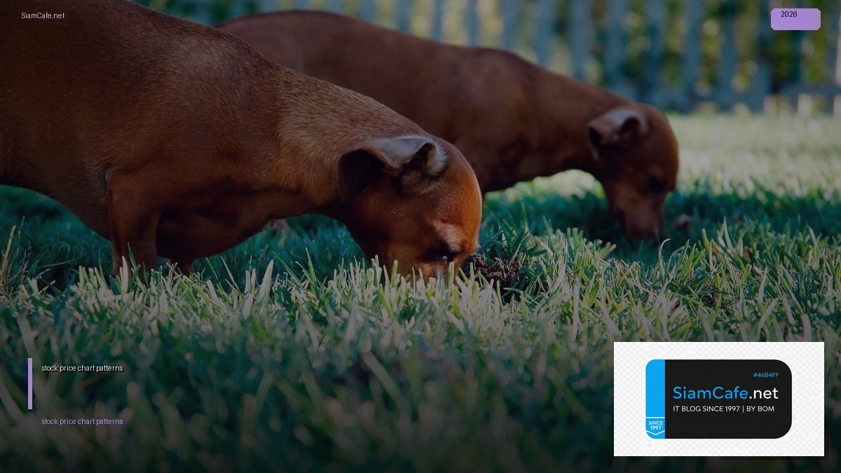 stock price chart patterns — คู่มือฉบับสมบูรณ์ 2026 | SiamCafe Blog