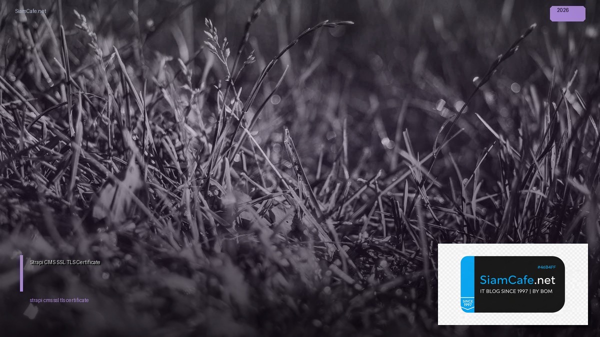 Strapi CMS SSL TLS Certificate — คู่มือฉบับสมบูรณ์ 2026 | SiamCafe Blog