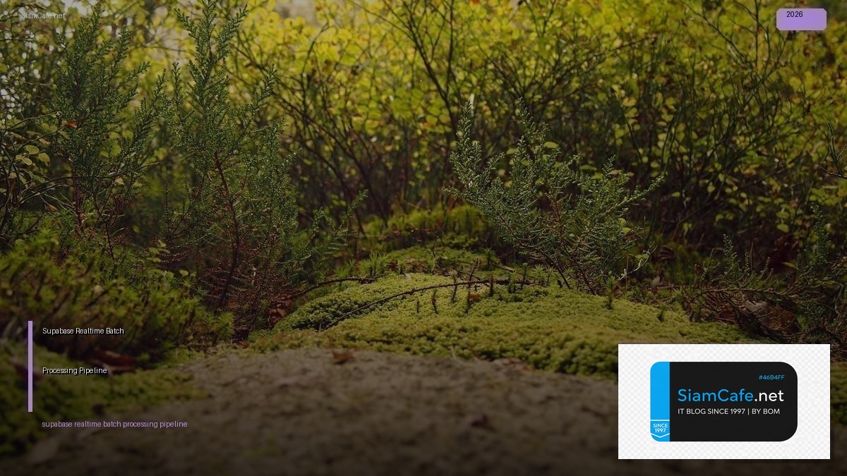 Supabase Realtime Batch Processing Pipeline — คู่มือฉบับสมบูรณ์ 2026 | SiamCafe Blog