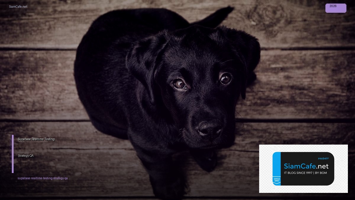 Supabase Realtime Testing Strategy QA — คู่มือฉบับสมบูรณ์ 2026 | SiamCafe Blog