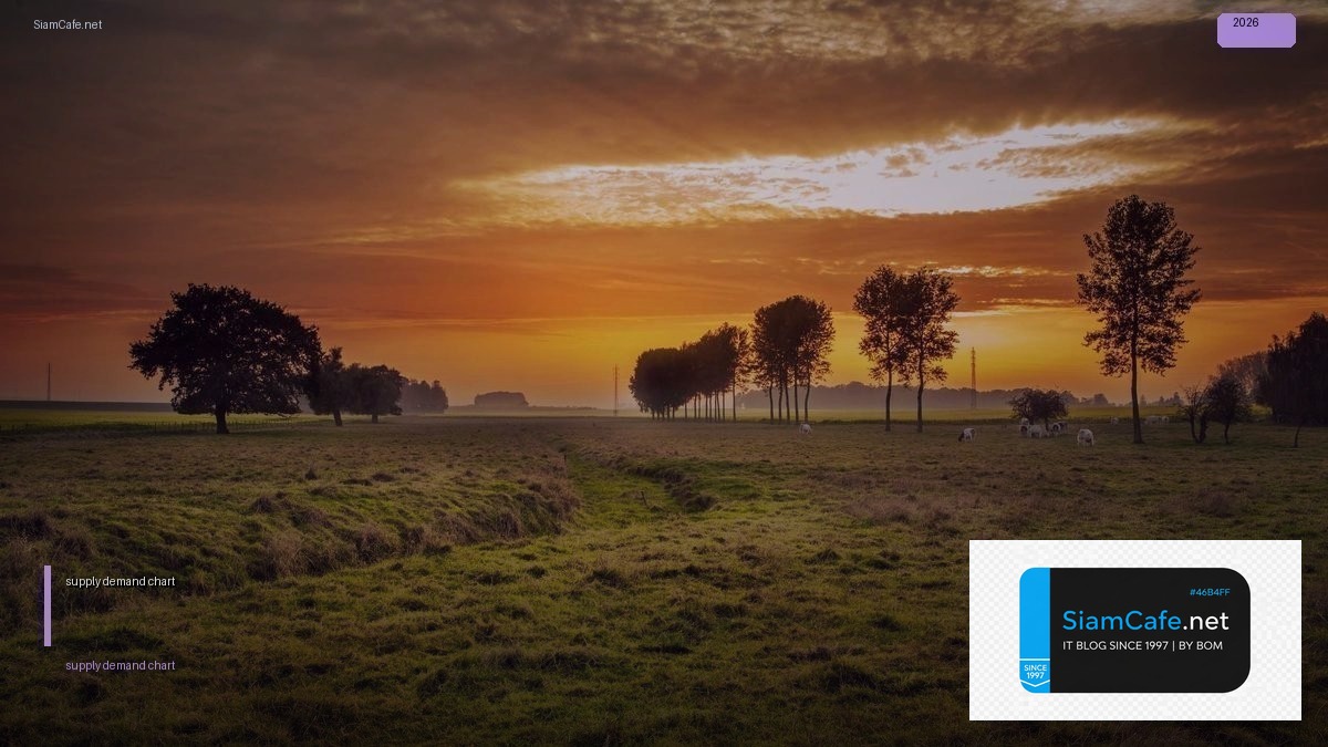 supply demand chart | SiamCafe Blog