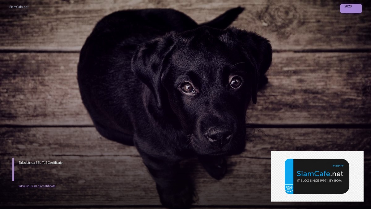 Talos Linux SSL TLS Certificate — คู่มือฉบับสมบูรณ์ 2026 | SiamCafe Blog