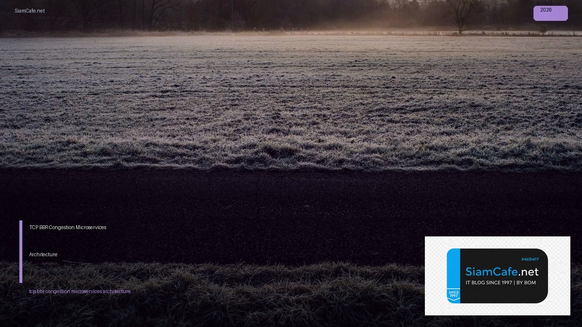TCP BBR Congestion Microservices Architecture — คู่มือฉบับสมบูรณ์ 2026 | SiamCafe Blog
