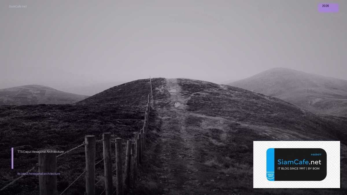 TTS Coqui Hexagonal Architecture | SiamCafe Blog