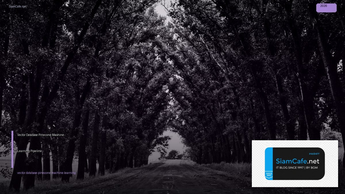 Vector Database Pinecone Machine Learning Pipeline | SiamCafe Blog