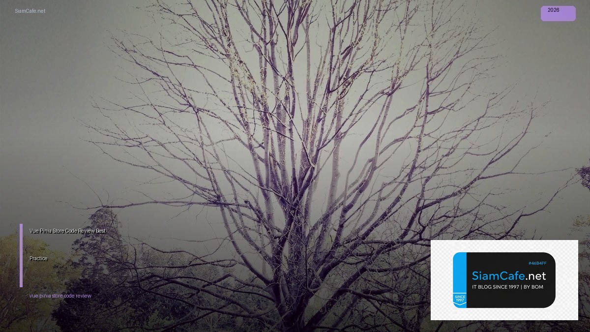 Vue Pinia Store Code Review Best Practice — คู่มือฉบับสมบูรณ์ 2026 | SiamCafe Blog