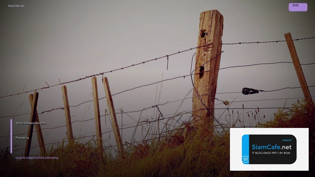 Weights Biases Real-time Processing | SiamCafe Blog