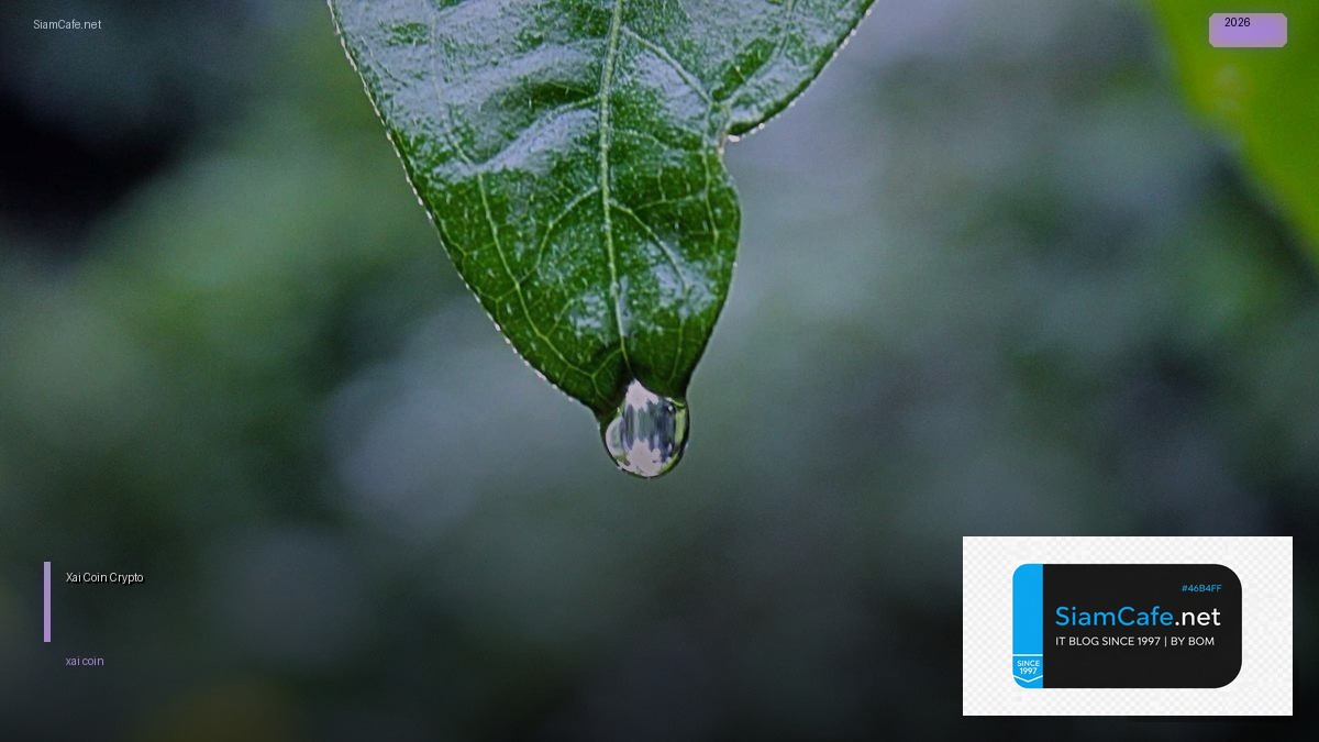 Xai Coin — คู่มือ Crypto ฉบับสมบูรณ์ 2026 | SiamCafe Blog