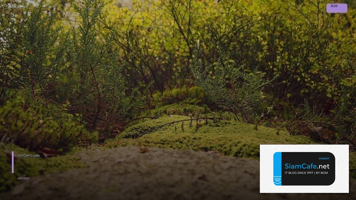 Xlm Coin — คู่มือ Crypto ฉบับสมบูรณ์ 2026 | SiamCafe Blog