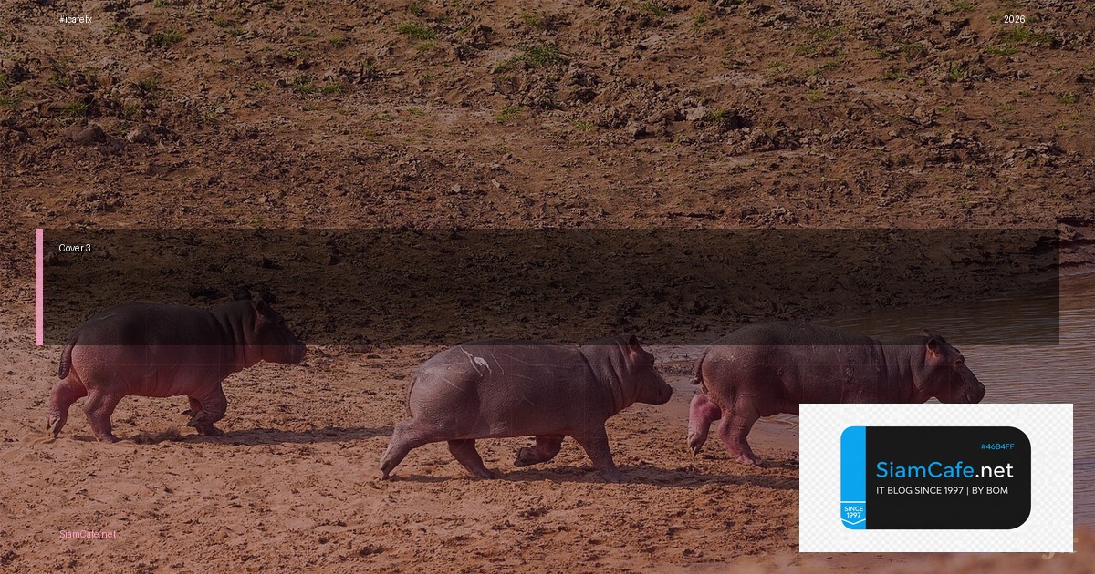 มีเงิน 3 แสนลงทุนอะไรดี | SiamCafe Blog