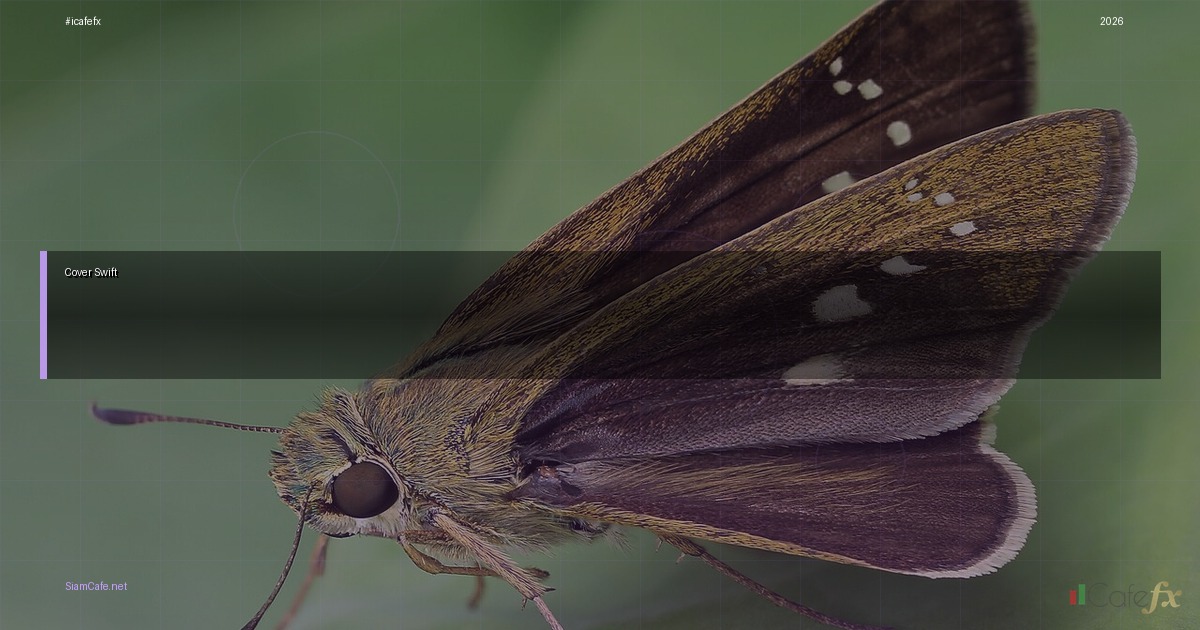 รหัส Swift | SiamCafe Blog